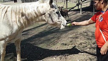 girls who fuck with horses blonde whore